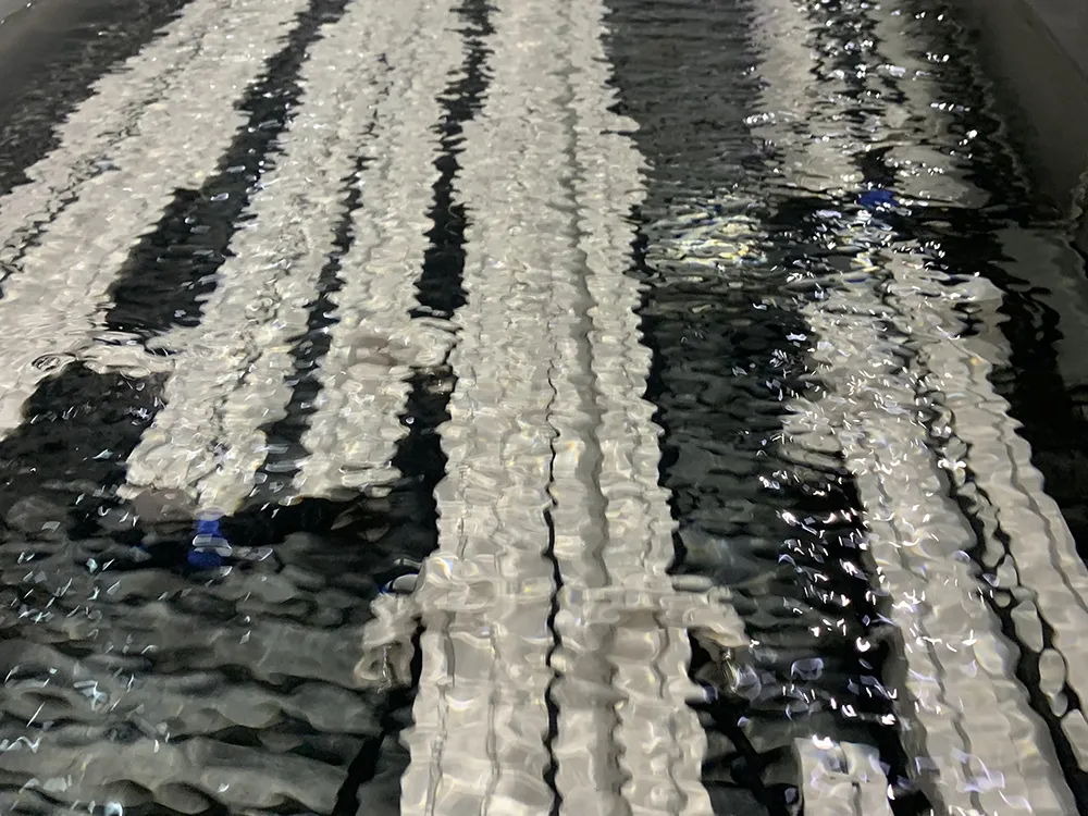 Wall Washers Water Immersion Test