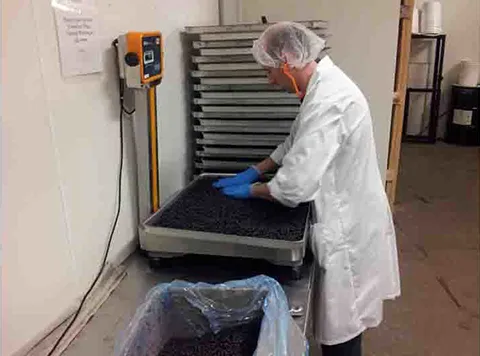 US customer's factory processing site