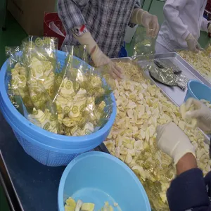 Freeze-dried Durian