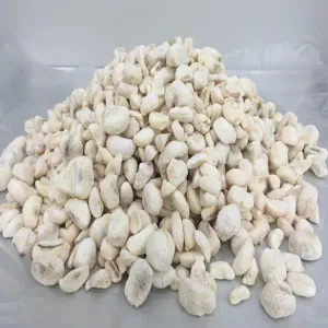 Freeze-dried Mangosteen