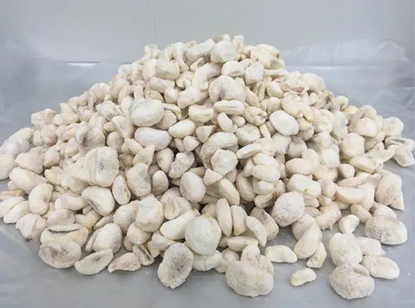 Freeze-dried Mangosteen