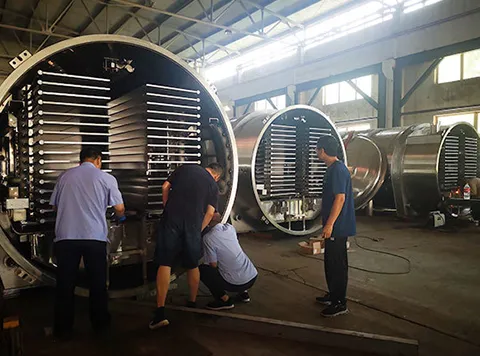 Pre-Factory Inspection of Freeze-Drying Equipment