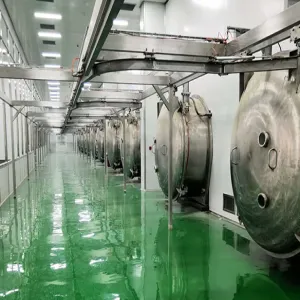 10 x LG-200 vacuum freeze-drying equipment