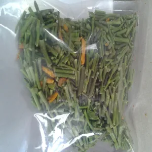 Freeze-dried Bracken Fern