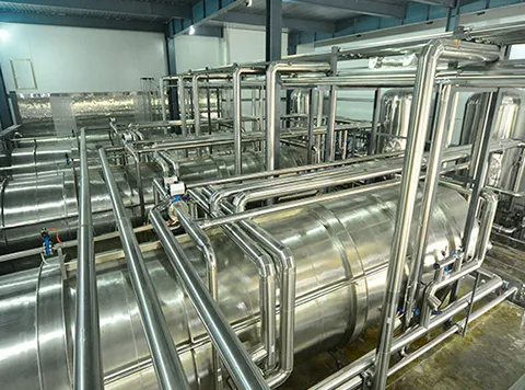 Freeze-Drying Working Chamber