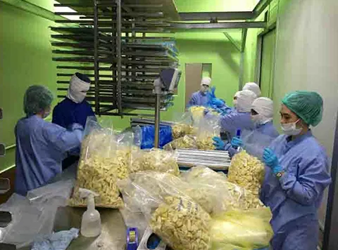 Processing site at a Thai customer's factory