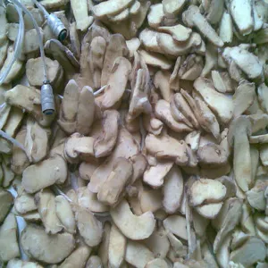 Freeze-dried Matsutake Mushroom Slices