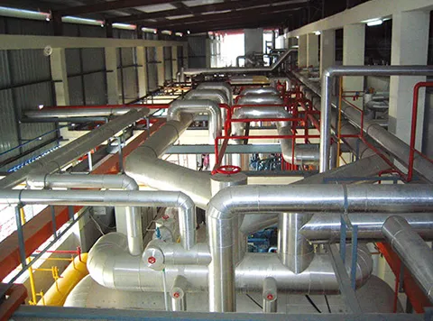 Freeze-Drying Engineering