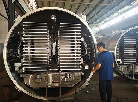 Factory Inspection of Freeze-Drying Equipment