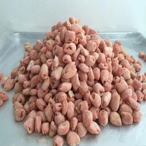 Freeze-dried Rambutan