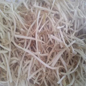 Freeze-dried Bean Sprouts
