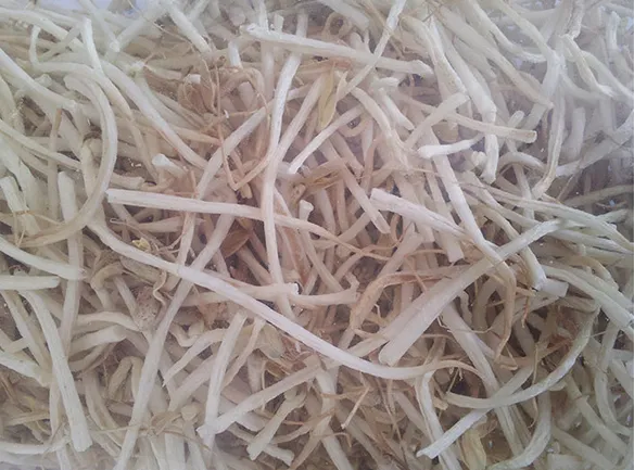 Freeze-dried Bean Sprouts