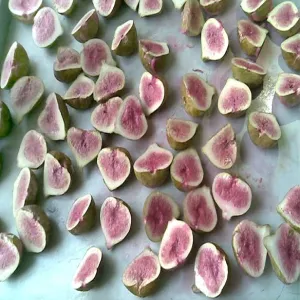 Freeze-dried Fig