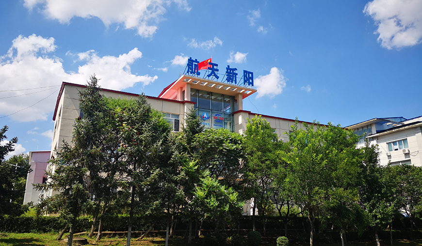 Food Grade Stainless Steel Freeze Dryer System