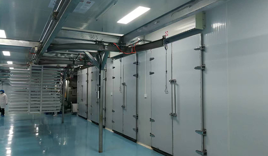 Large Freeze Dryer with 1200kg Capacity for Industrial Food Processing