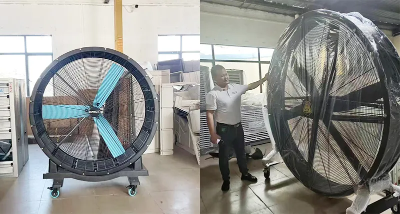 Portable big fan case