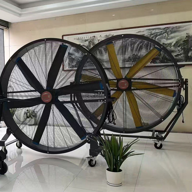 Portable big fan