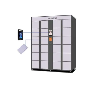 Face ID locker customization