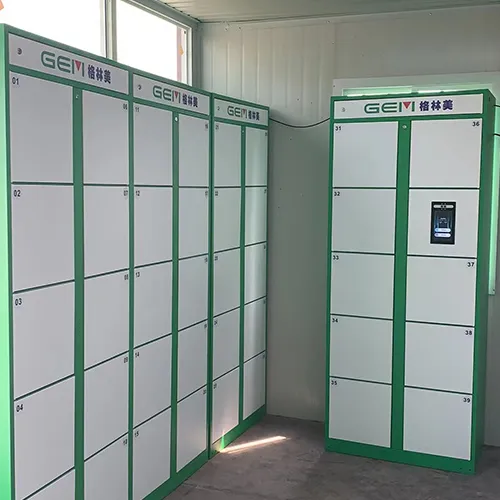 Hubei Greenme Face Recognition Cabinet