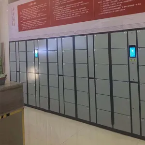 Facial recognition lockers