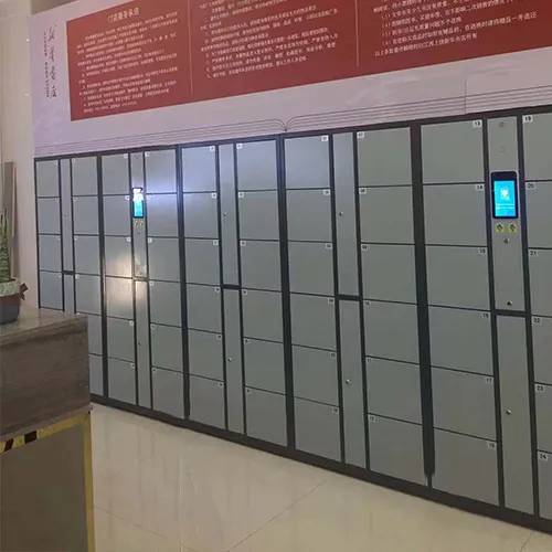 Facial recognition lockers