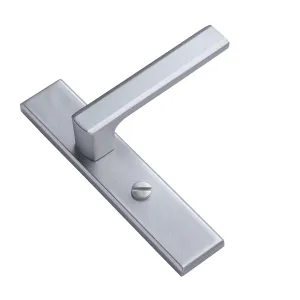 Bathroom Swing Door Handle
