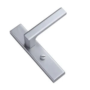 Bathroom Swing Door Handle