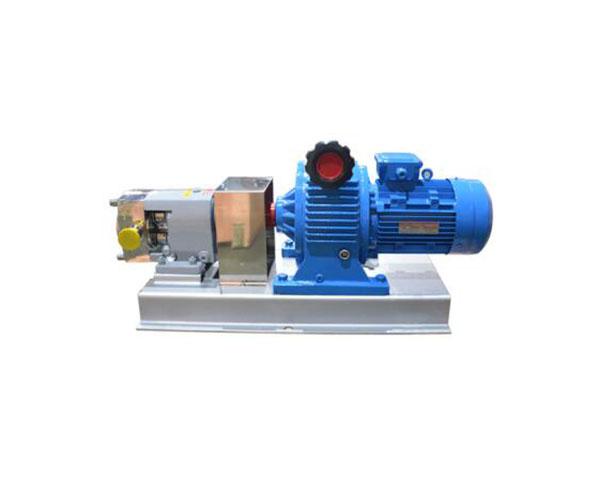 LQ3A stainless steel cam rotor pump