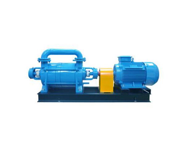 2SK water ring vacuum pump