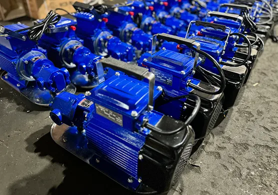 WCB series gear pump customized 110V 60Hz Ex