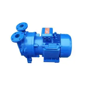 2BV, SKA water ring vacuum pump