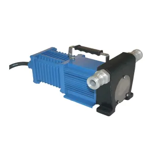 Diesel Gasoline Fuel Pump