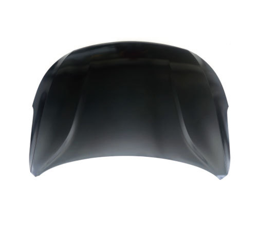 Byd Song Hood