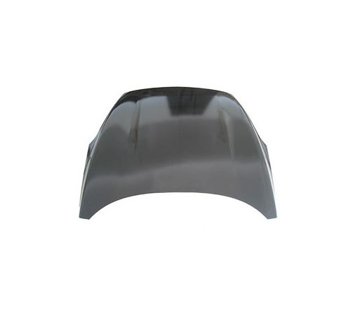 Ford Escort 2019 Hood