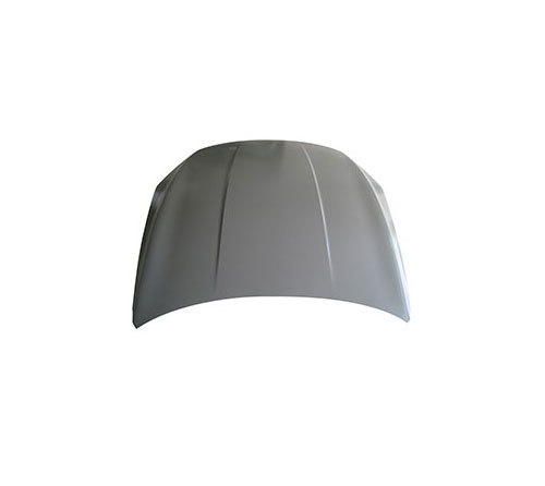 Byd Qin Pro Hood