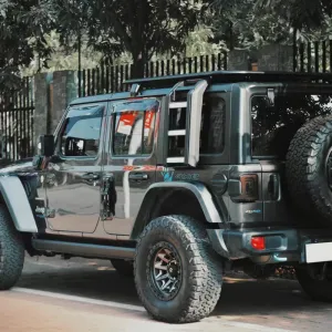 Rooftop platform ladder