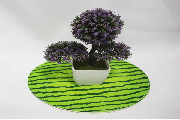 2019 New Botanical Decorative Fashion design felt sofa Cushion 
