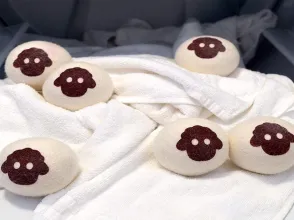 Competitive price 2019 amazon new trending XL natural white organic wool dryer balls 