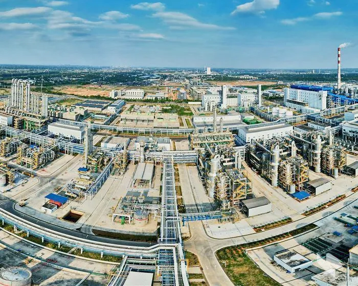 Hubei Sanning Chemical Project Cases