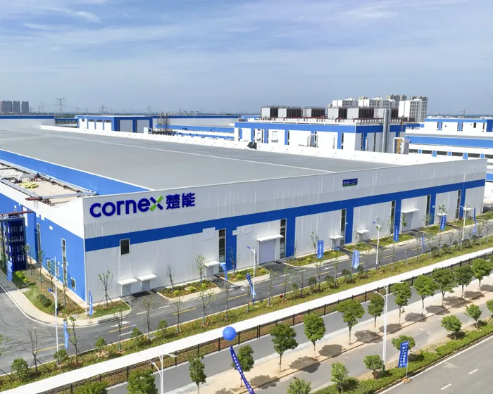 Wuhan Chuneng New Energy Co., Ltd.