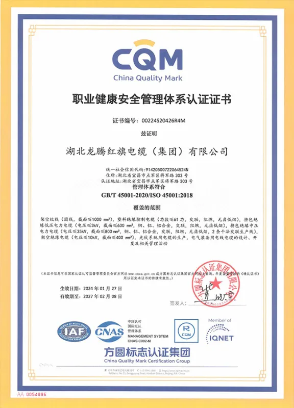 Occupational Health and Safety Management System Certification Certificate