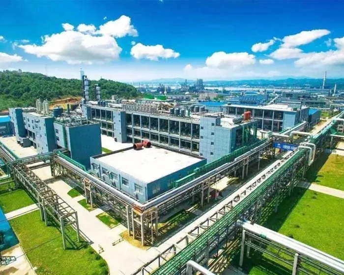 Project case of Hubei Xingfa Chemical Group