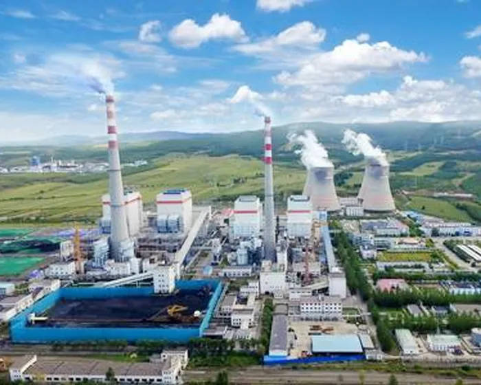 Datang Electric Power Project Case