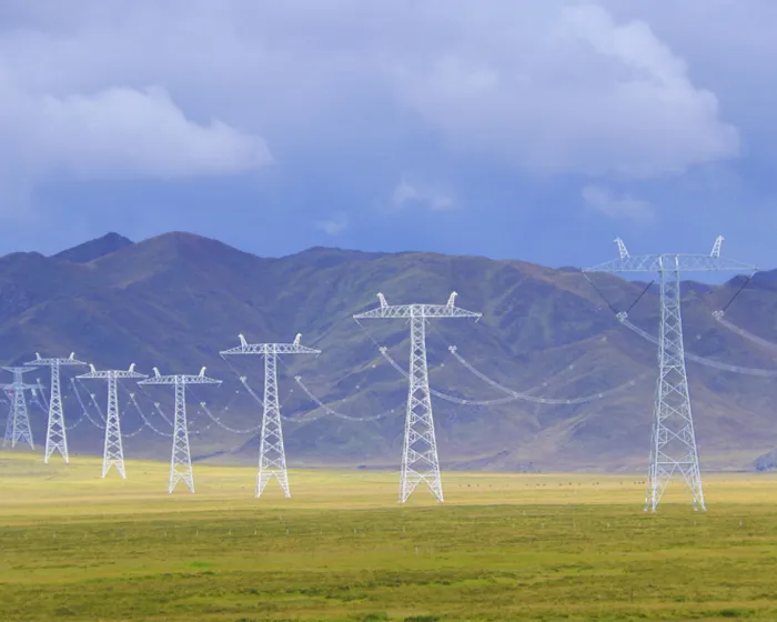 State Grid Shandong Company Project Cases