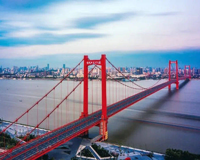 Parrot Island Bridge Project Cases