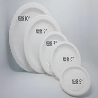 Paper disc (tray)