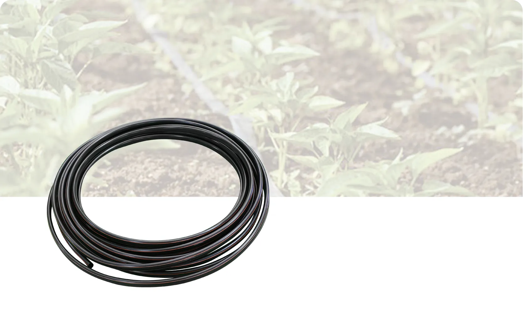 Drip irrigation pipe