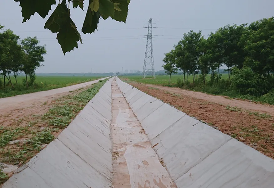 Channel Engineering of High-standard Farmland Construction Project in Handan City