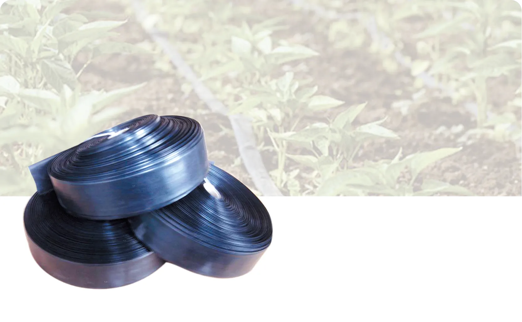 PE flexible hose