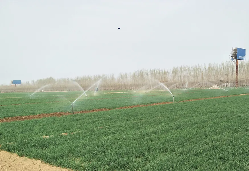 Sprinkler Irrigation Project of High-standard Farmland Construction in Suning County